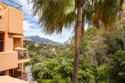 d55ec7dba2a24fd541319abedf754e21 - 24