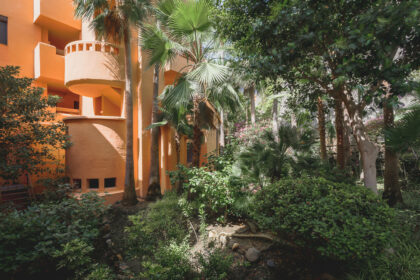 d55ec7dba2a24fd541319abedf754e21 - 3