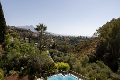 d55ec7dba2a24fd541319abedf754e21 - 31