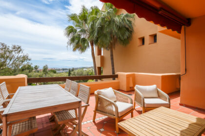 d55ec7dba2a24fd541319abedf754e21 - 4