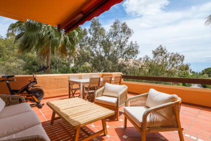 d55ec7dba2a24fd541319abedf754e21 - 5