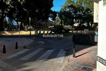 d56baedda2f520d40bb4d47ecee6158c - 31