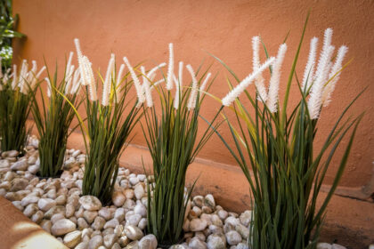 d709746651460f7bd9d146d94e8348d2 - 14