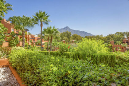 d709746651460f7bd9d146d94e8348d2 - 49