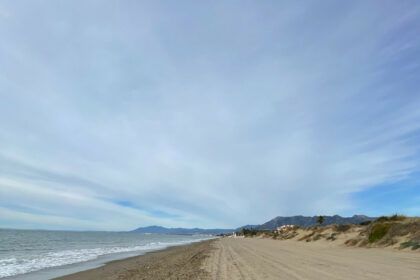 d7485ee4c9e93ccd6ea081dc446a2d0b - 11