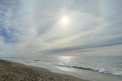 d7485ee4c9e93ccd6ea081dc446a2d0b - 12