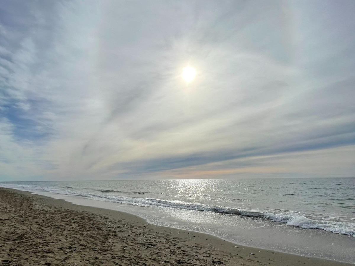 d7485ee4c9e93ccd6ea081dc446a2d0b - 12