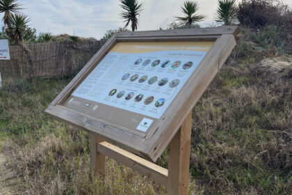 d7485ee4c9e93ccd6ea081dc446a2d0b - 13