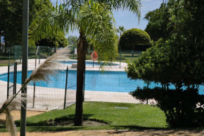 d79393a82b8df235f9c55701347edeba - 50