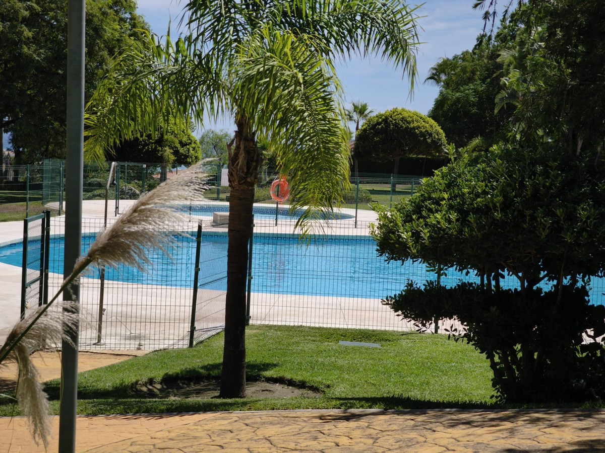 d79393a82b8df235f9c55701347edeba - 50