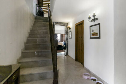 d815486b7fe68e398dffdc3b2db04260 - 24