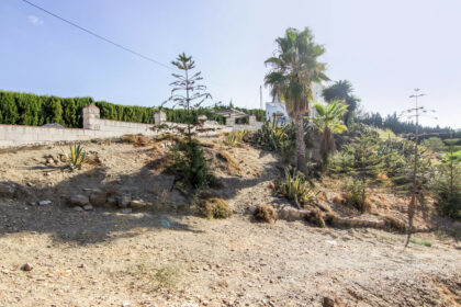 d815486b7fe68e398dffdc3b2db04260 - 38