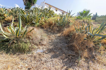 d815486b7fe68e398dffdc3b2db04260 - 40