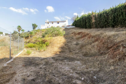 d815486b7fe68e398dffdc3b2db04260 - 41