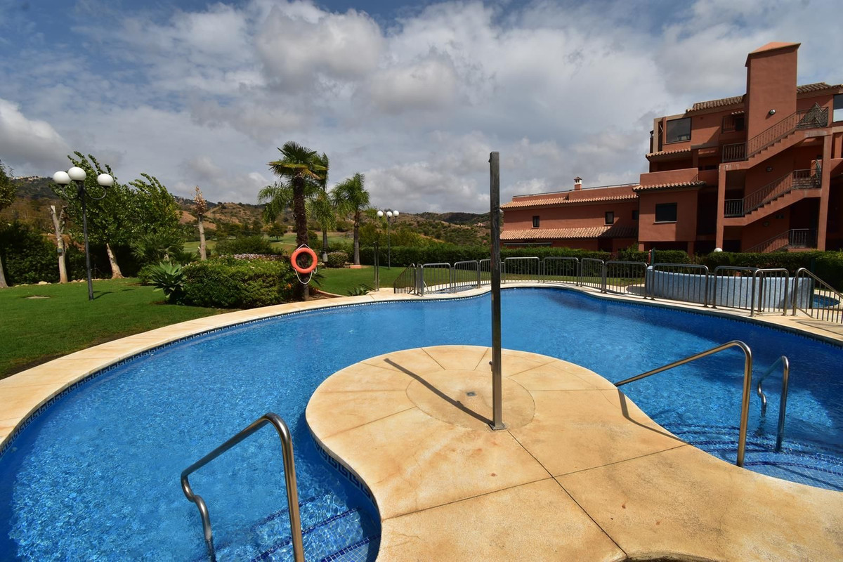 d83c948bfdcfd16bfcb0cd18d8e1e712 - 16