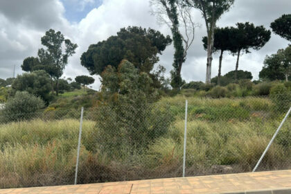 d8610a0e61a13cbfc2b0a8dc08a1aad4 - 4