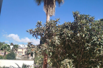 d88e00432f03c28ca4d0763275915ef5 - 70