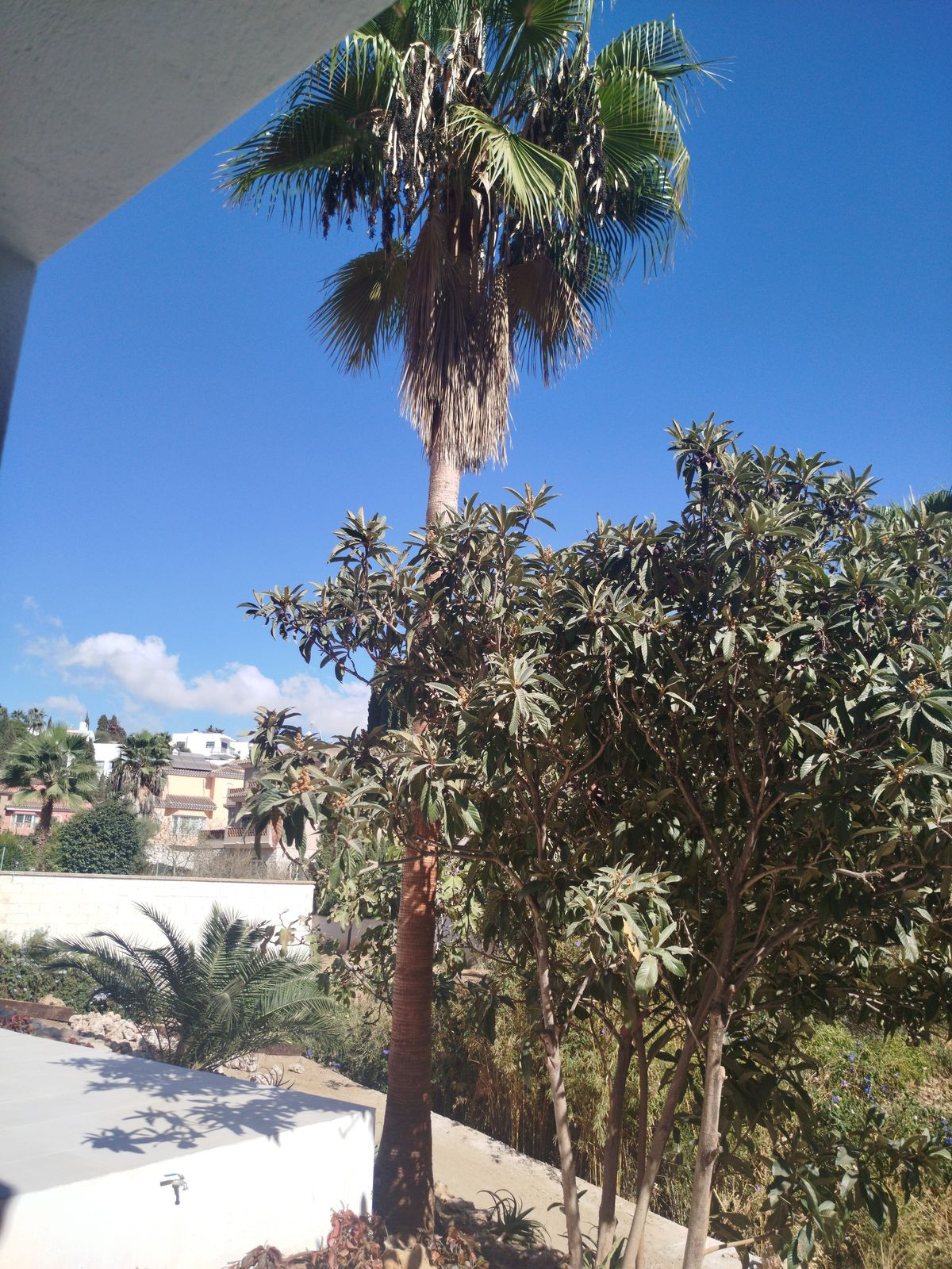 d88e00432f03c28ca4d0763275915ef5 - 70