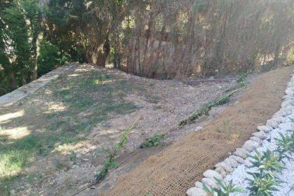 d88e00432f03c28ca4d0763275915ef5 - 72