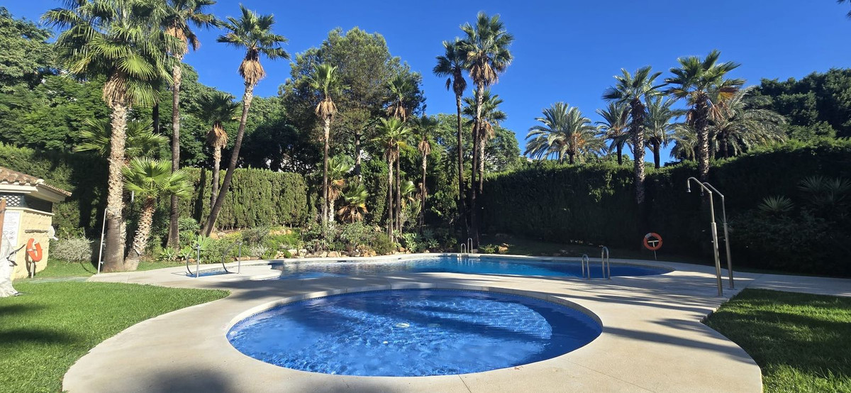 d970d1d1646cd0b85f4f9d86eb973bba - 29