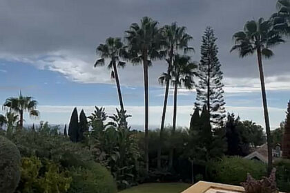 d971c8d52f91364fcb88e7f8aeba4fbb - 12