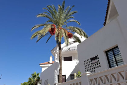 dae5d7c5ba466b6780109805bf2ad028 - 2