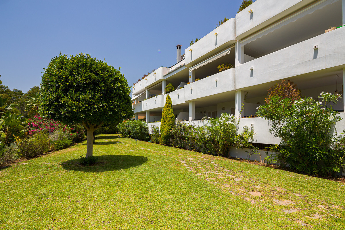 db9677b788bbeacef5423f998f4fd602 - 44