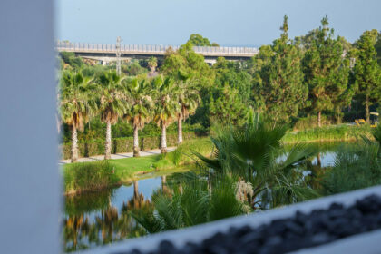 dc0f8ba6ec66e3805078a6f28f4c9b8f - 23