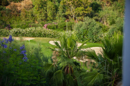 dc0f8ba6ec66e3805078a6f28f4c9b8f - 24