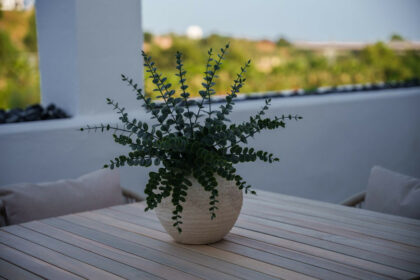 dc0f8ba6ec66e3805078a6f28f4c9b8f - 25