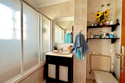 ddc74312444696afb153a747f3bbc9ab - 17