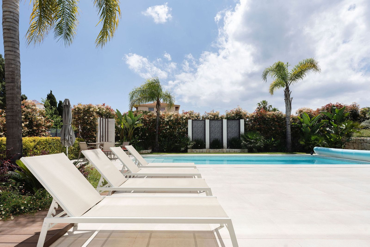 ddf91abc454a5b77038899c504b21776 - 13