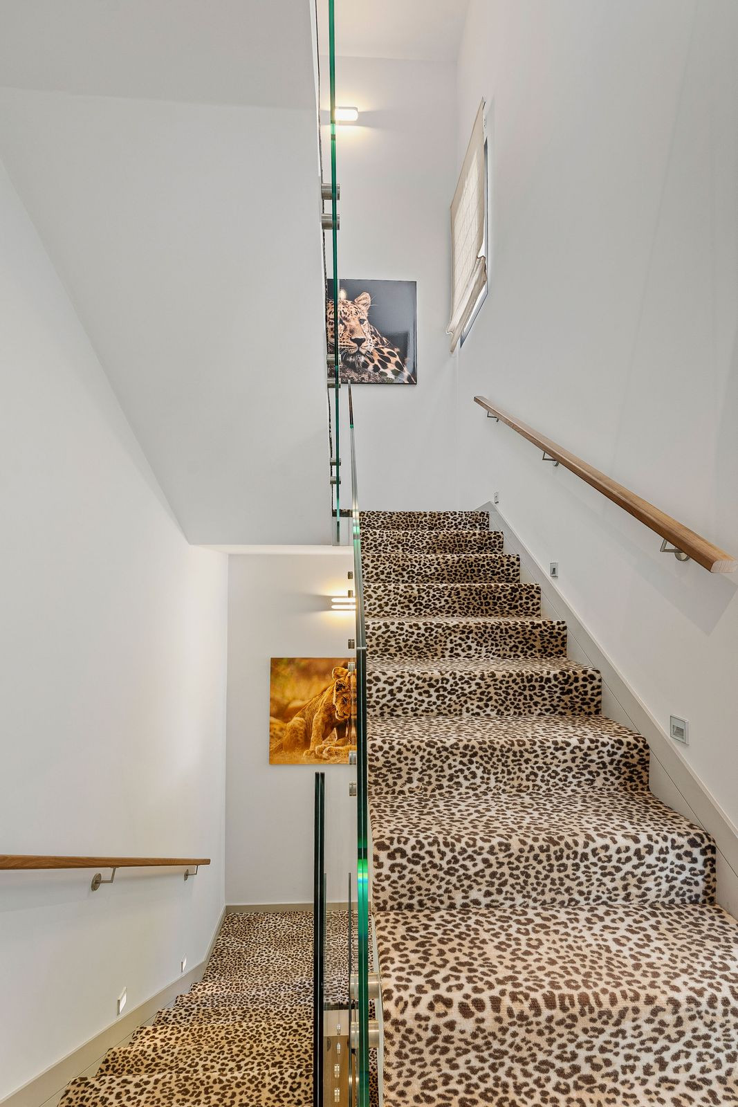 ddf91abc454a5b77038899c504b21776 - 41