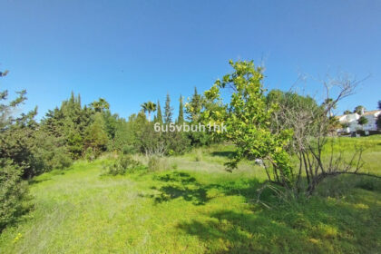 e0a7e3dd739a2ce3c2f1c8bb00689378 - 19