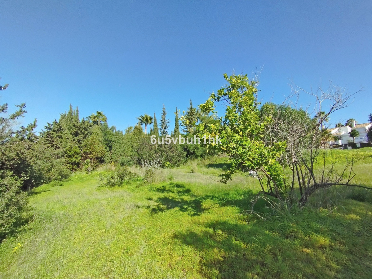 e0a7e3dd739a2ce3c2f1c8bb00689378 - 19