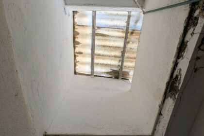 e28ddc6d94c62f56758a1d7721ee93be - 12