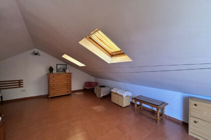 e3885d110561d2cb488375fa3cbc8b3a - 31