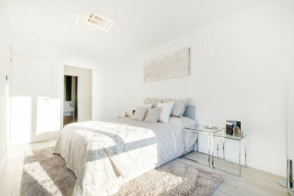 e41bd61629333a76440d8a6c7978c0a9 - 8