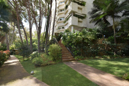 e6d11c4296ac62a08224cd3bb944c687 - 17