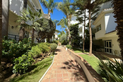 e6ed976541101d0af67ec2c2c940d439 - 29