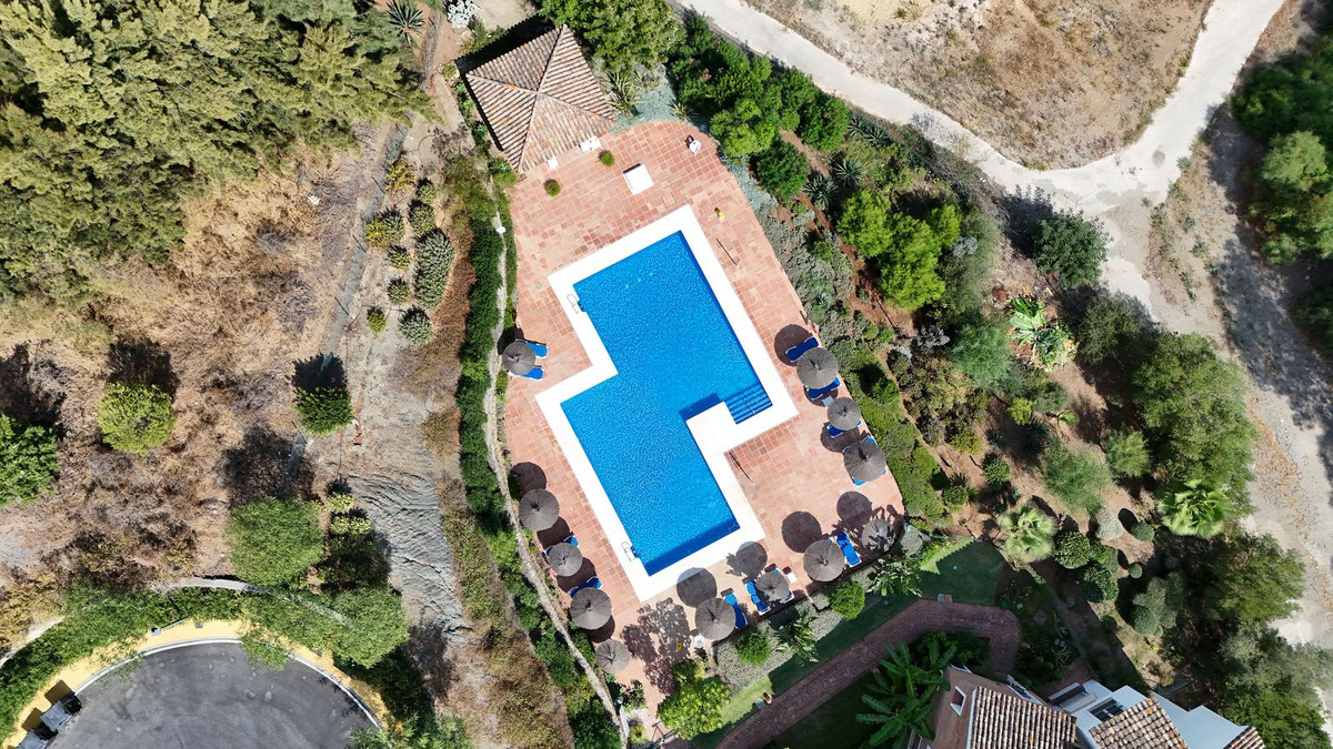 e7b3ea332461863108861386b7c5c056 - 21