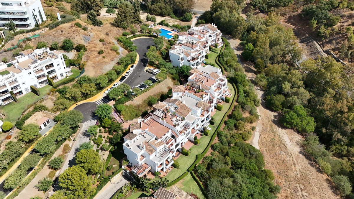 e7b3ea332461863108861386b7c5c056 - 22