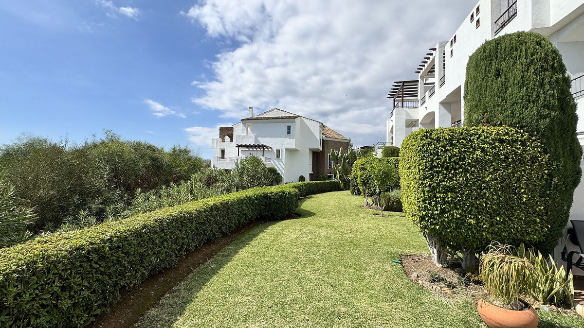 e7b3ea332461863108861386b7c5c056 - 26