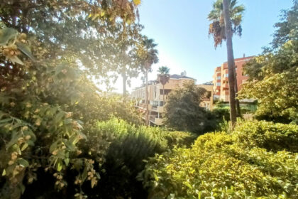 e7c6e4e3691f859b8b1600060ddfd91f - 31