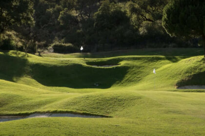 e7cd131df949a0293ebabcc493f1bbbd - 38