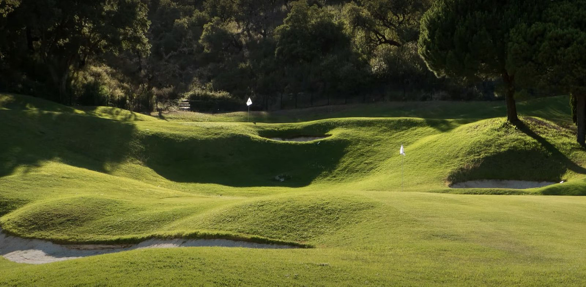 e7cd131df949a0293ebabcc493f1bbbd - 38