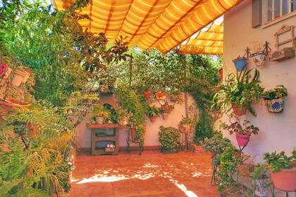 e837877b8e78ddb52e298cb9a8e38cd7 - 1