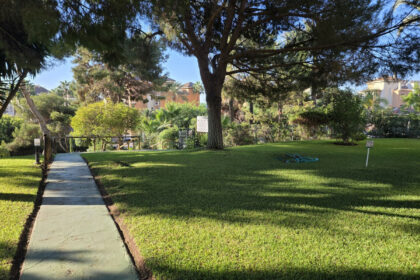 e85829ad6c108c08b4e707ab9758e424 - 23