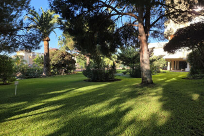 e85829ad6c108c08b4e707ab9758e424 - 24