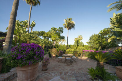 e8812f22351bd13cb798faa75703ffbd - 13